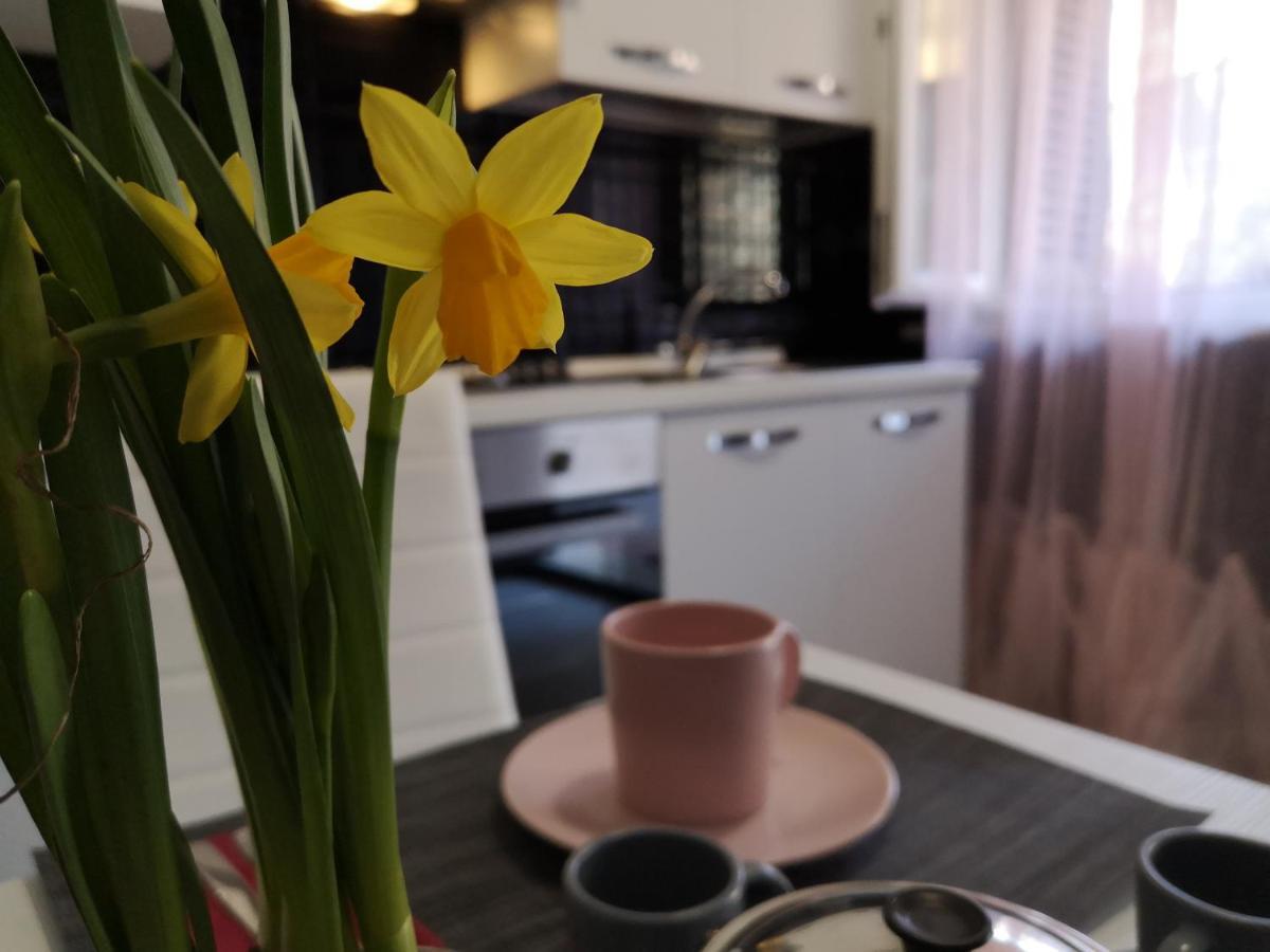 La Casaffittiera Apartments Group Anzio Eksteriør billede